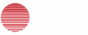 wildtokyo logo
